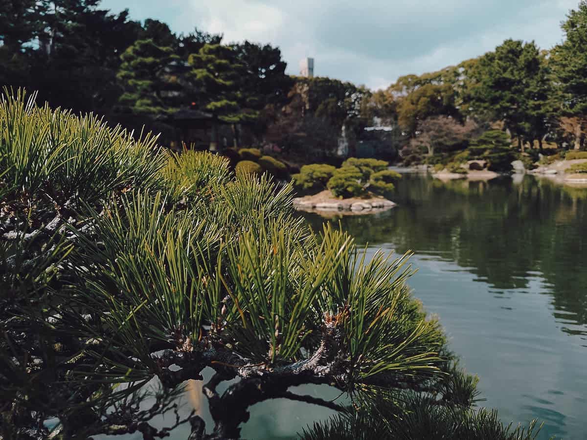 Hiroshima Travel Guide Pond at Shukkei-en Garden