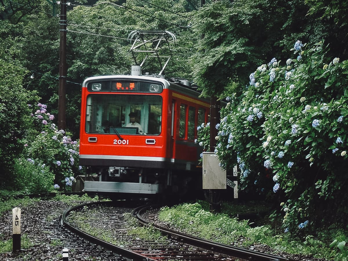 Hakone Free Pass Hakone Tozan Railway