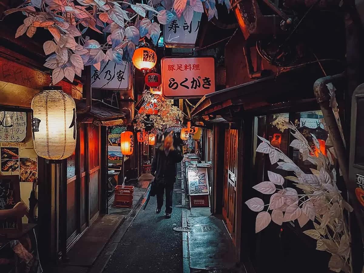 Tokyo Travel Guide Omoide yokocho