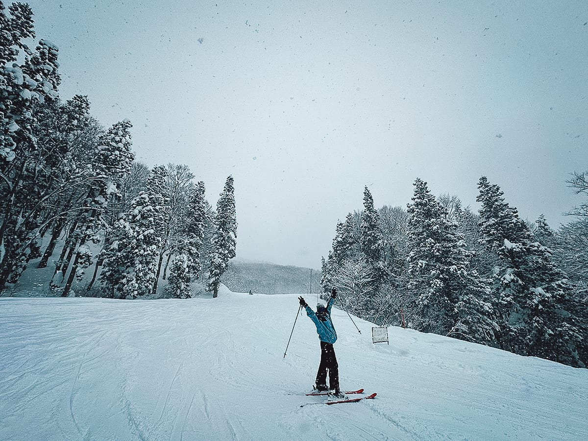 Day Trips From Tokyo Skier at Gala Yuzawa