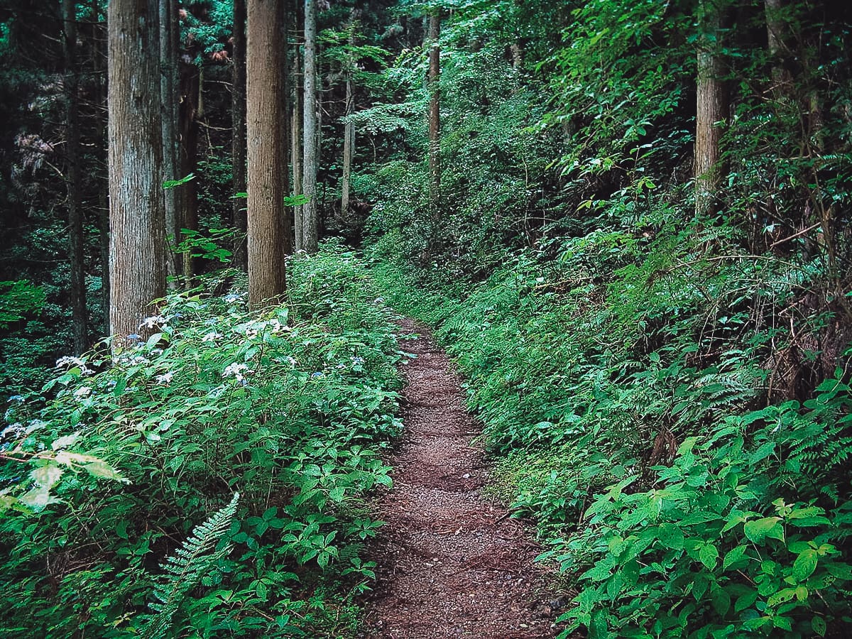 Koyasan Travel Guide Pilgrimage trail in Koyasan