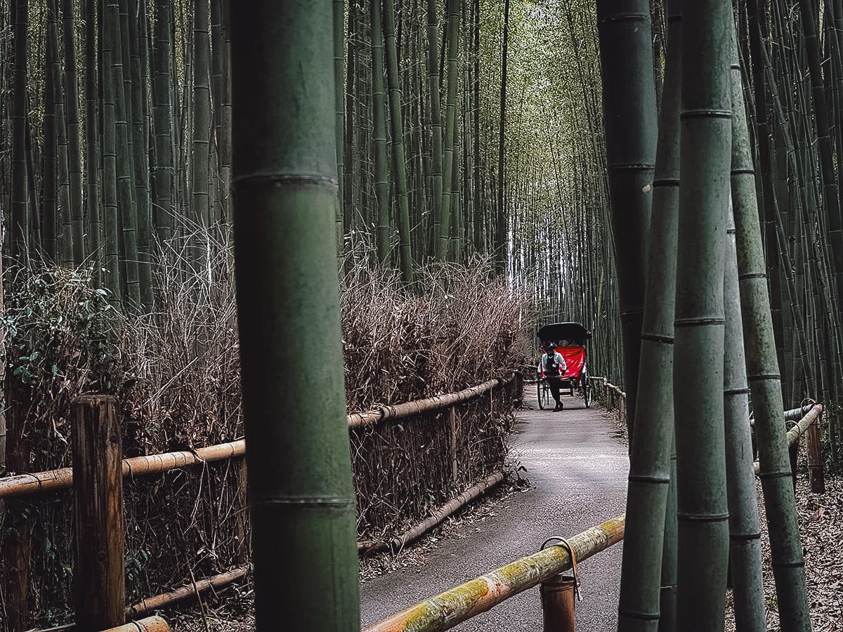 JR West Kansai Wide Area Pass Arashiyama bamboo grove in Kyoto