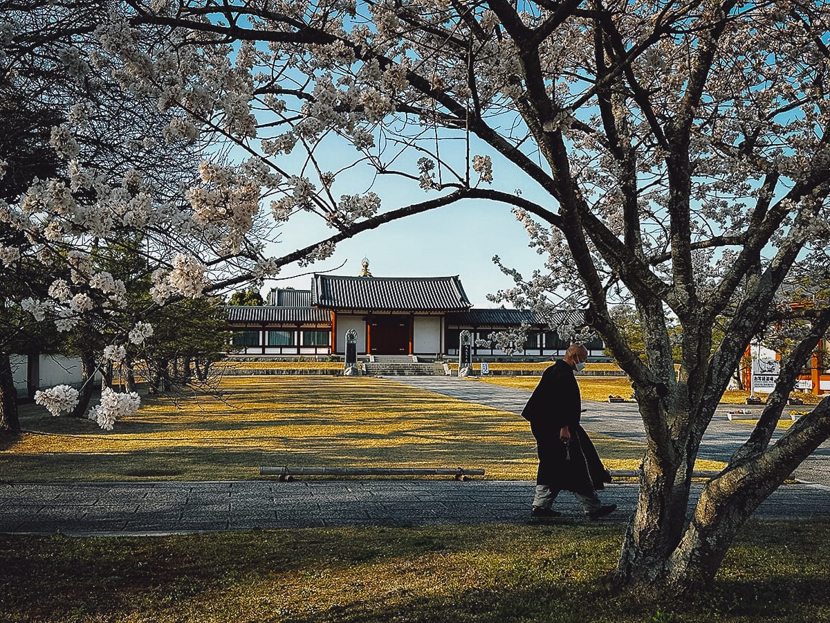 JR West Kansai Wide Area Pass Yakushi-ji temple in Nara