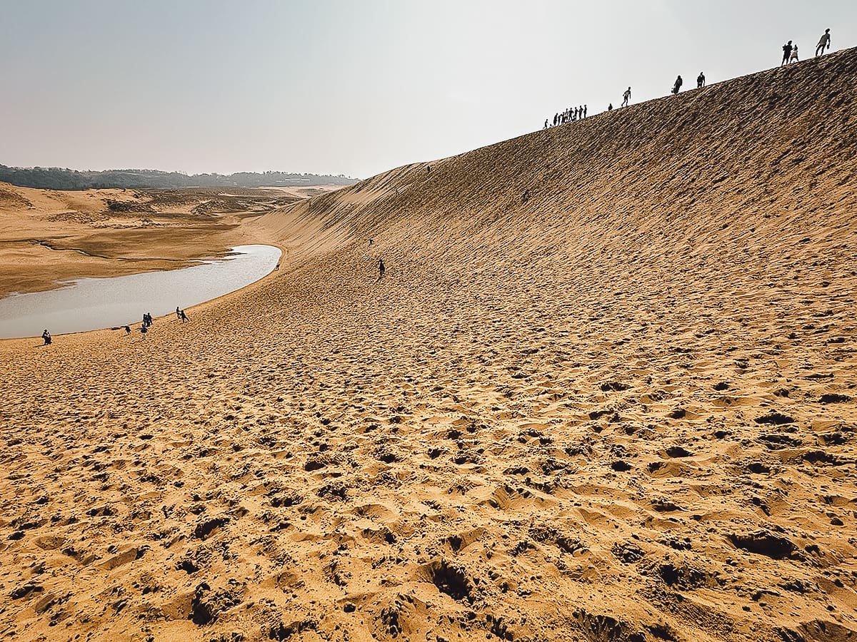 Day Trips From Kyoto Sand dunes in Tottori