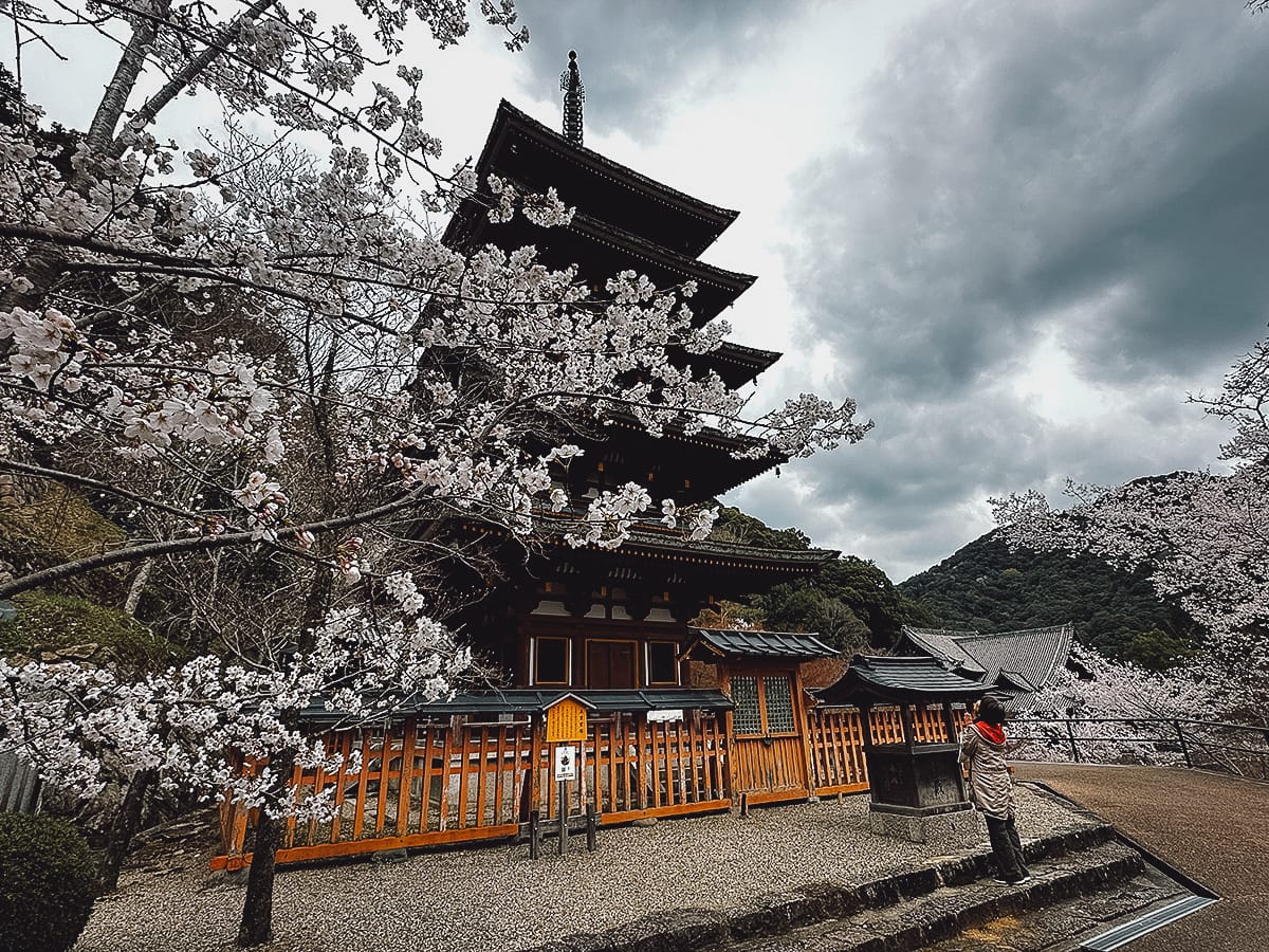 Nara Travel Guide Hasedera in Nara