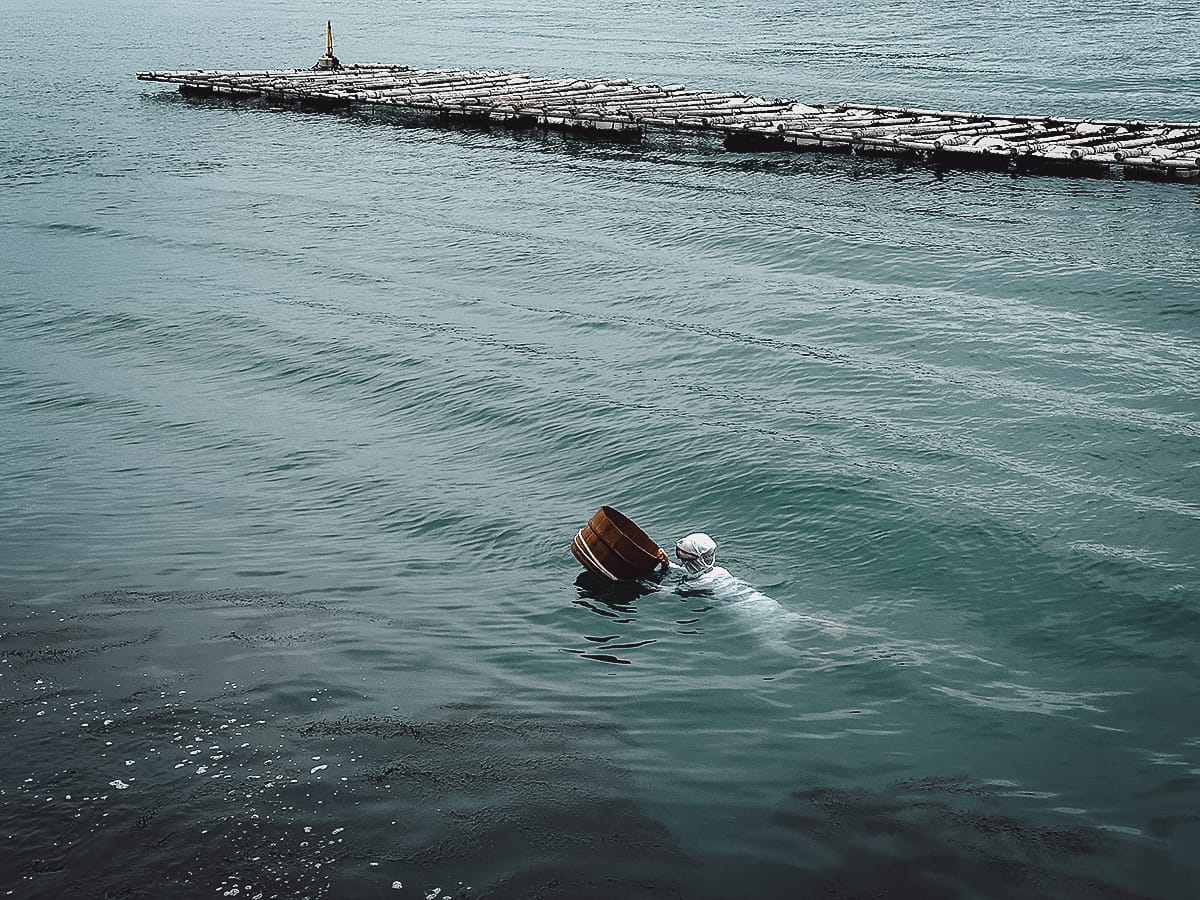 Ise-Shima Travel Guide Ama diver in the water