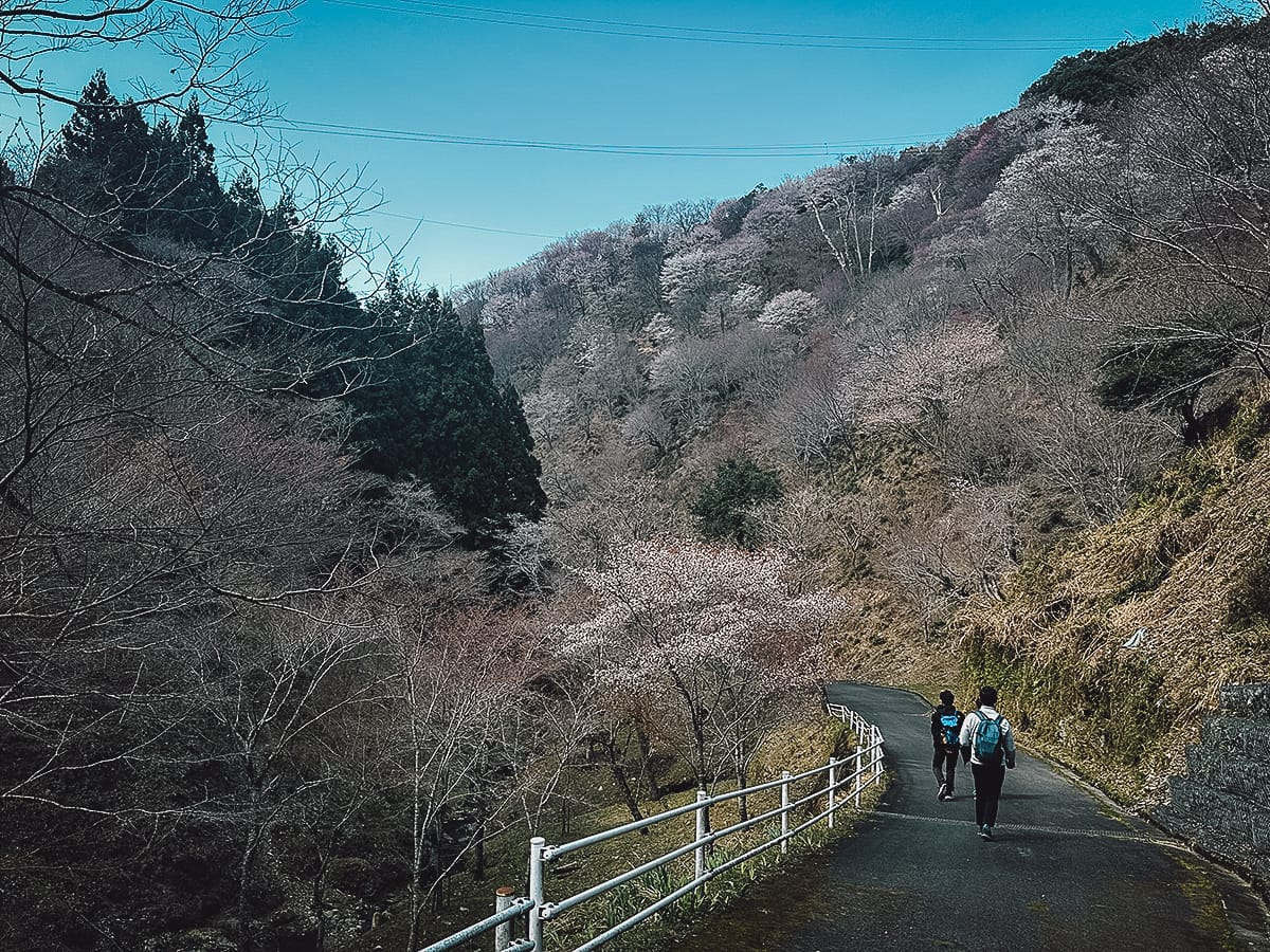 Kintetsu Rail Pass Mt Yoshino