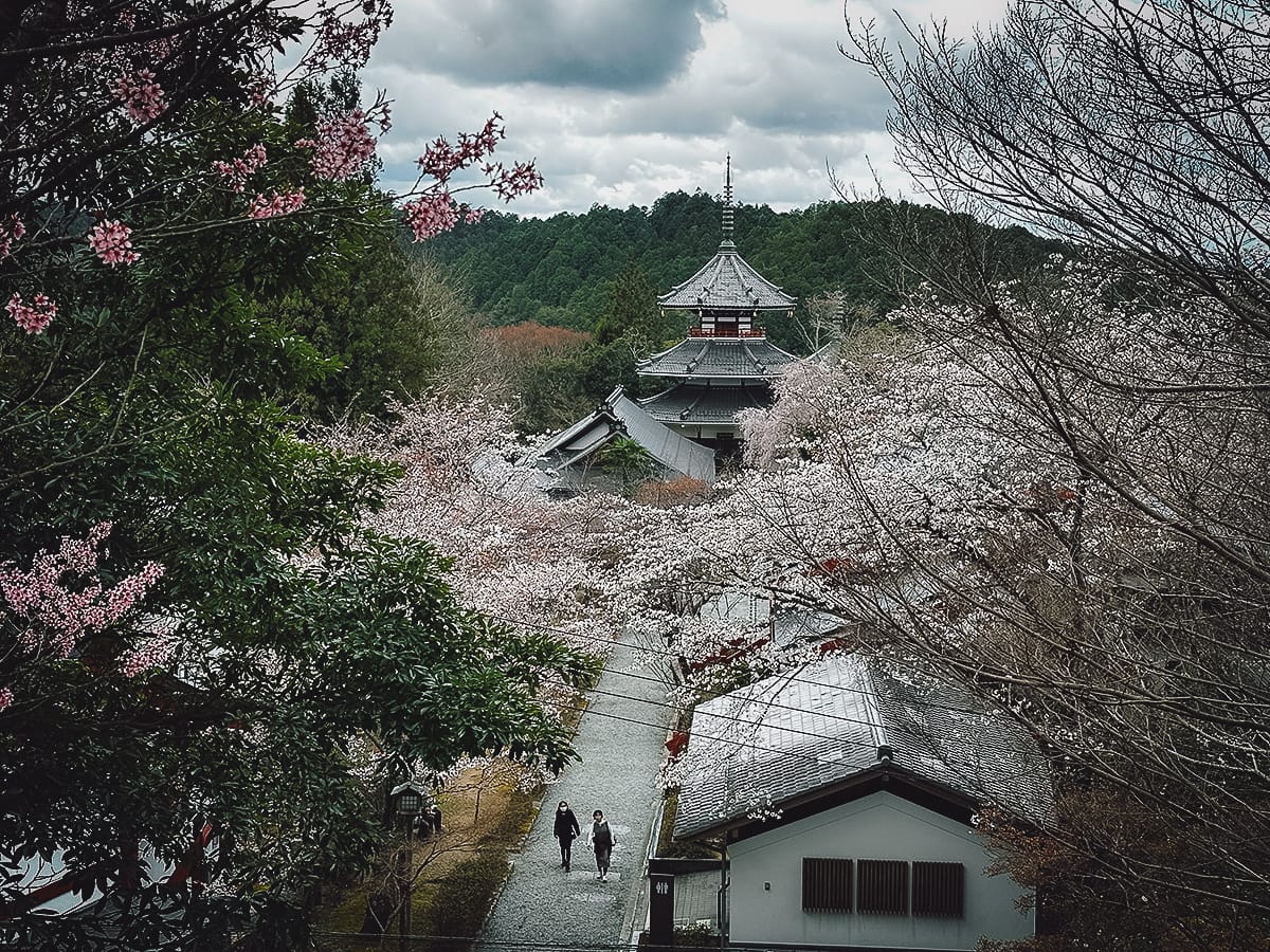 Kyoto Travel Guide Mt Yoshino