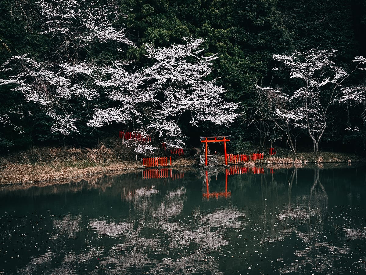 Yamanobe-no-michi Trail Small Shinto shrine by a pond