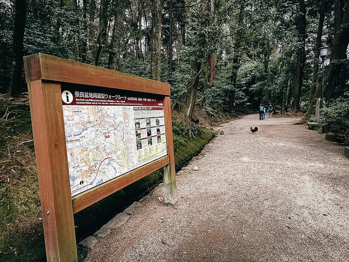 Yamanobe-no-michi Trail Trail map at Isonokami Jingu Shrine