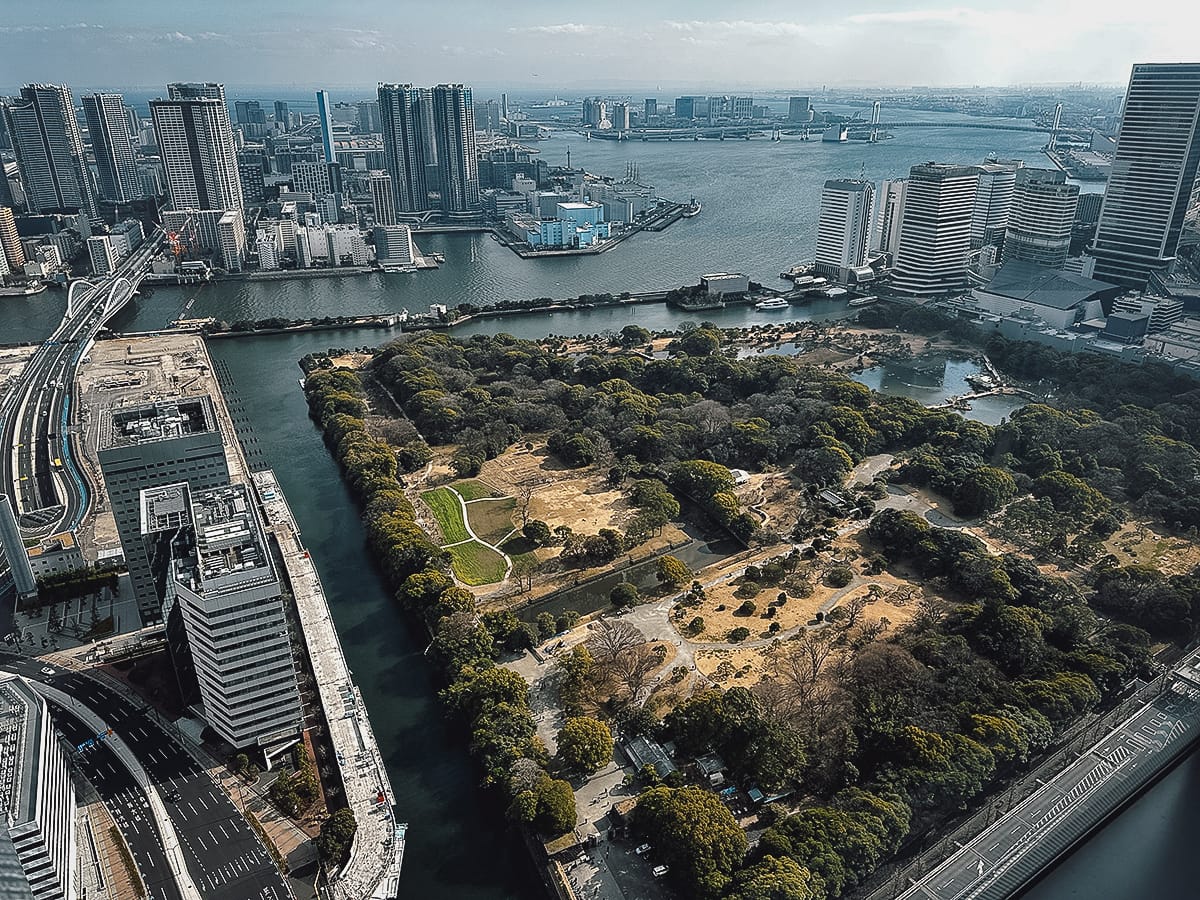 Sky-High Views, Zero Yen: Free Observatories in Tokyo